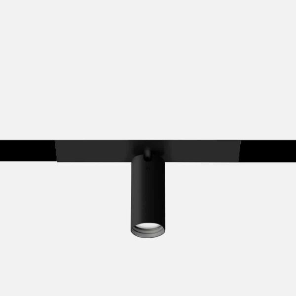 Focus 55S, for File system